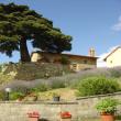 Agriturismo Giratola